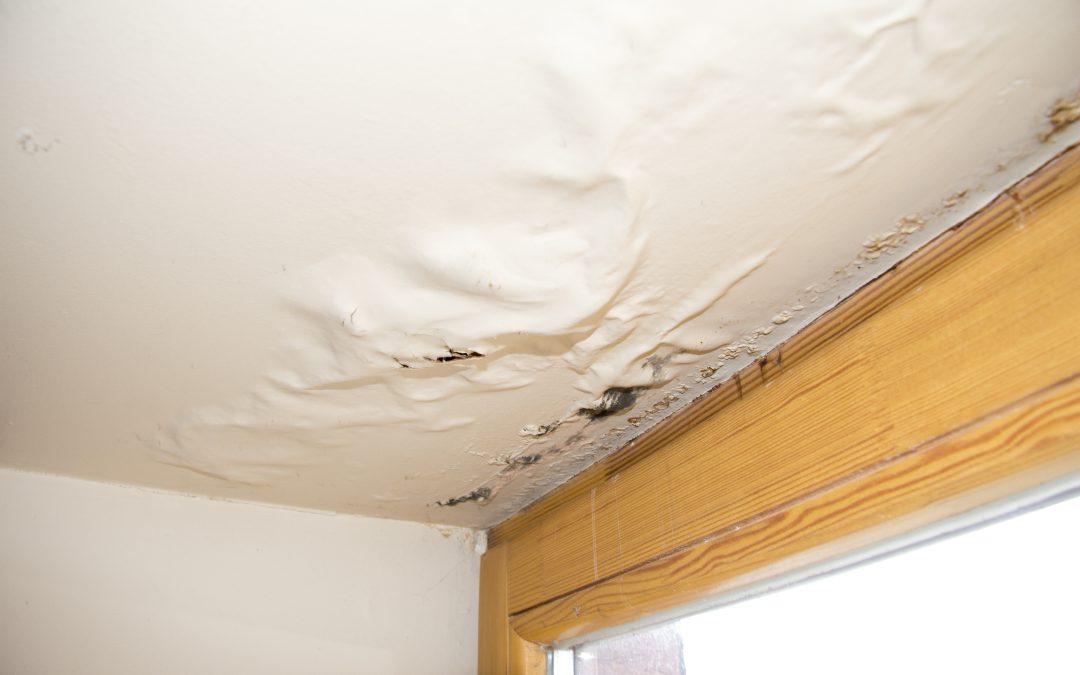 Essential Steps for Effective Water Damage Cleanup Nassau County NY Residents Trust