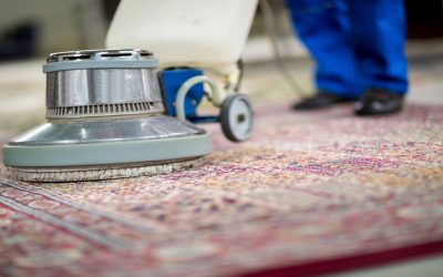 Why Steam-Based Methods Matter for Professional Carpet Care in Oregon, WI
