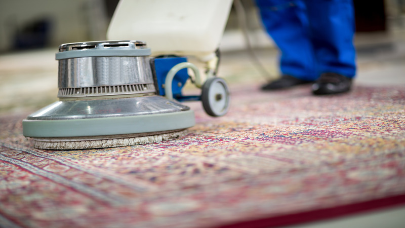 Why Steam-Based Methods Matter for Professional Carpet Care in Oregon, WI