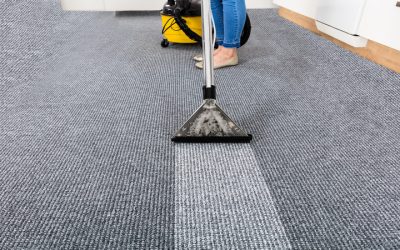 How Professional Carpet Cleaning Services in Stoughton, WI, Can Protect Your Family and Flooring