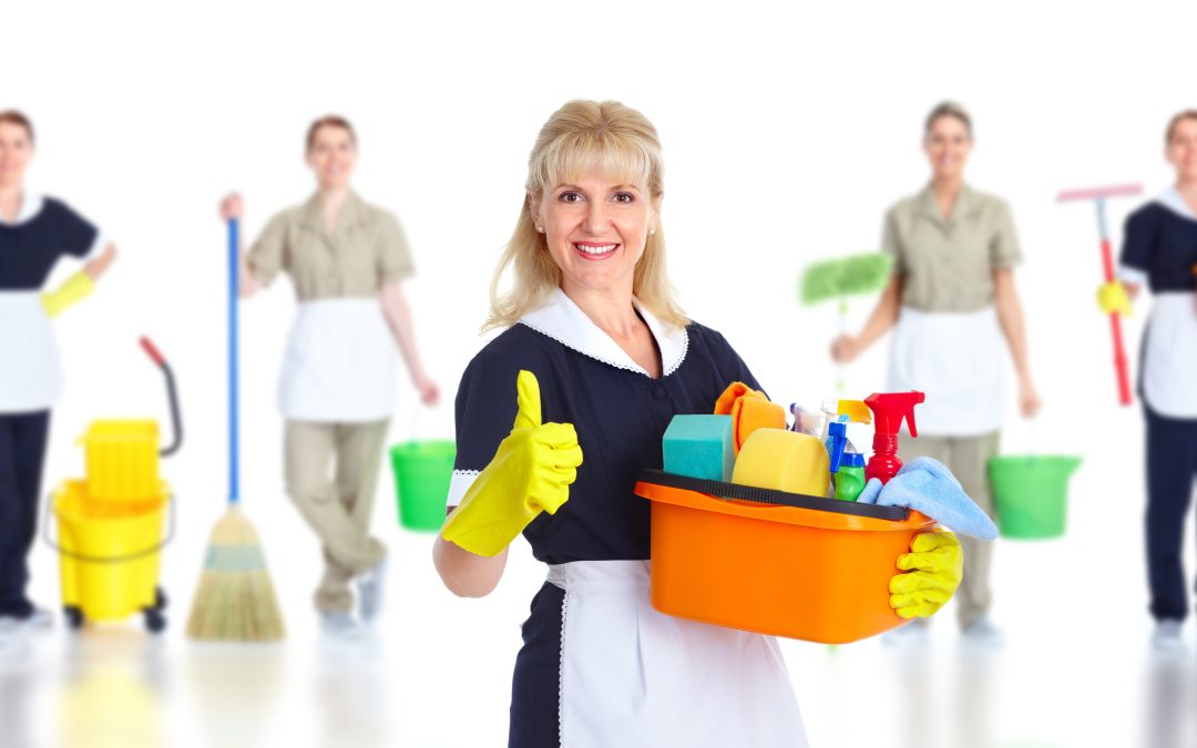 Healthy Living Begins with Home Cleaning Services in Highlands Ranch, CO You Can Rely On